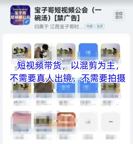 宝子哥头部团队短视频带货,以混剪为主,不需要真人出镜,不需要拍摄【更新26年1月】青祥项目库-闲云创业网-老谢轻创网-中创网-福缘网-冒泡网-资源之家-魔方项目库青祥项目库