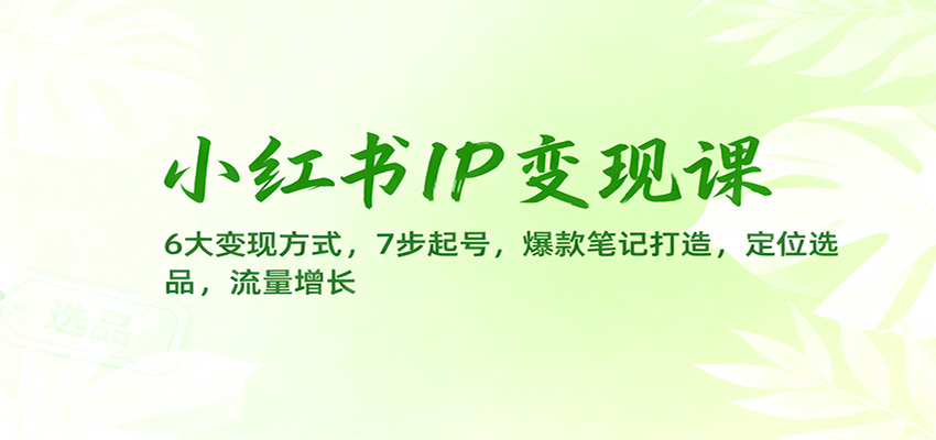 小红书IP变现课：6大变现方式，7步起号，爆款笔记打造，定位选品，流量增长青祥项目库-闲云创业网-老谢轻创网-中创网-福缘网-冒泡网-资源之家-魔方项目库青祥项目库