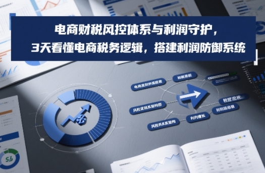 电商财税风控体系与利润守护，3天看懂电商税务逻辑，搭建利润防御系统青祥项目库-闲云创业网-老谢轻创网-中创网-福缘网-冒泡网-资源之家-魔方项目库青祥项目库